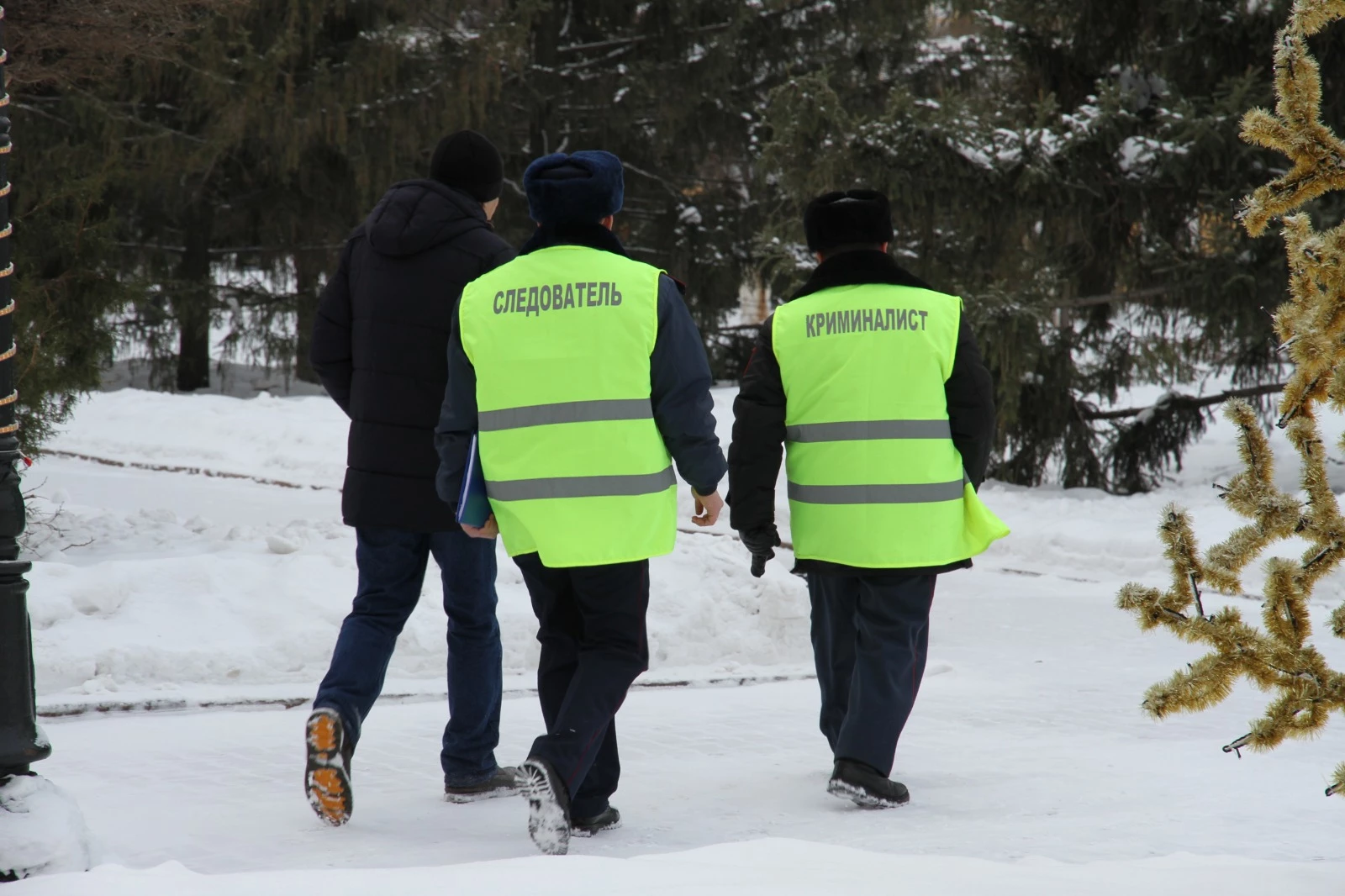 Мелкое ДТП и оскорбление полицейских: за какие нарушения увеличили штрафы